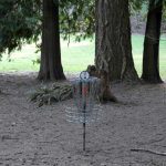 disc-golf-Cornwall-Park-Bellingham-Washington