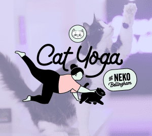 Cat Yoga at NEKO Cat Cafe @ NEKO Cat Cafe: Bellingham