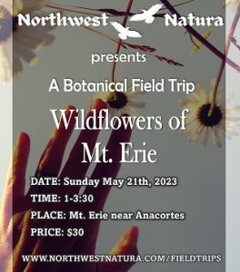 Wildflowers at Mt. Erie: A Botanical Field Trip @ Mt. Erie Park