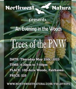 Trees of the PNW: An Evening in the Woods @ Fairhaven Park - 100-Acre Woods