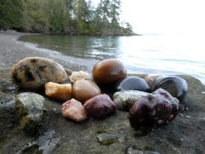 June’s Words of a Feather: the Sue C. Boynton Poetry Contest @ Allied Arts Gallery