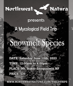 Fungi Field Trip - Snowmelt Species! @ Mt. Baker Snoqualmie NF