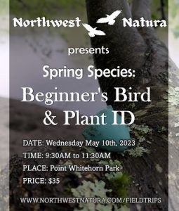 Spring Species: Beginner's Bird and Plant ID @ Point Whitehorn Park