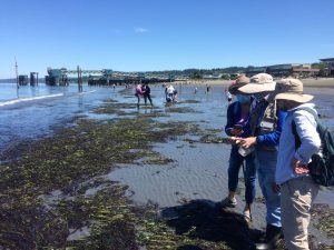 Molt Search Volunteer Training & Bioblitz – Whatcom County @ BP Heron Center