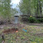 Whatcom Disc Golf Club Bellis Fair Basket Installed