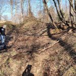 Whatcom-Disc-Golf-Club-Bellis-Fair-Course-Clean-Up