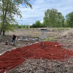 Whatcom Disc Golf Club Bellis Fair Course Play