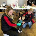 Animal-Emergency-Care-Bellingham-Washington 3
