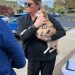 Animal-Emergency-Care-Bellingham-Washington 4