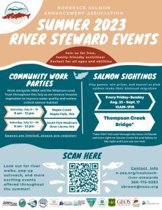 NSEA Salmon Sighting @ Thompson Creek Bridge