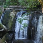 whatcom-falls-park-upper-falls