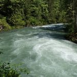 Ranger Hole Duckabush River Olympic National Forest – Photo By Tony Moceri