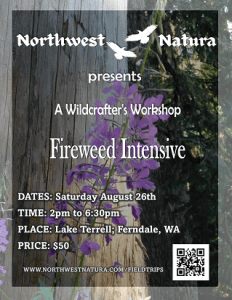 Wildcrafting Workshop: Fireweed Intensive @ Lake Terrell