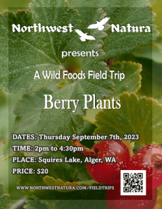 Berry Plants: A Wild Foods Field Trip @ Alger Alps
