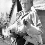 NW-Washington-Fair-History-1947-Animals
