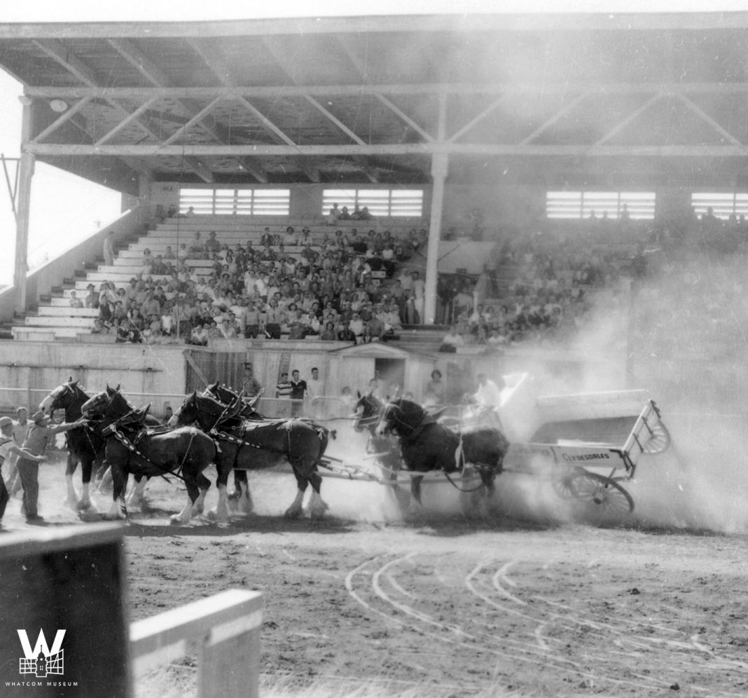 The Long, Storied History of the Northwest Washington Fair