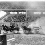 NW-Washington-Fair-History-1955-Grandstand-Horses