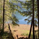 Wynoochee-Lake-Coho-Campground-overlooking-lake-courtesy-of-US-Forest-Service