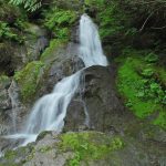Wynoochee-Lake-Maidenhair-Falls-courtesy-of-US-Forest-Service