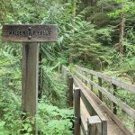 Wynoochee-Lake-Maidenhair-Falls-trail-head-courtesy-of-US-Forest-Service