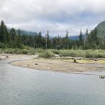 Wynoochee-River-courtesy-of-US-Forest-Service