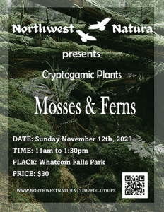 Mosses and Ferns - A Walk in the Woods @ Whatcom Falls