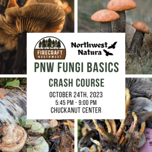 Fungi Basics Crash Course @ Chuckanut Center