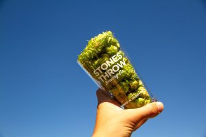 Fresh Hop Block Party @ Stones Throw Brewery! @ Stones Throw Brewery