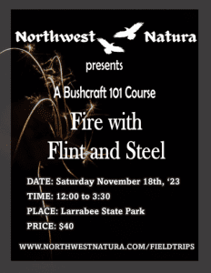 Fire with Flint & Steel (An Outdoor Skills Course) @ Larrabee State Park