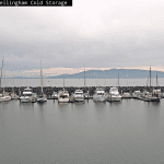 Bellingham-Cold-Storage-webcam