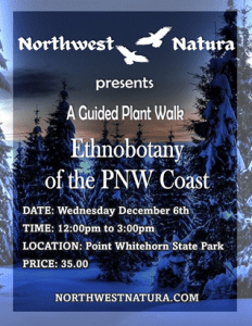 Ethnobotany of the PNW Coast: A Guided Plant Walk @ Point Whitehorn Park