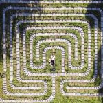 Kristen-Winn-Labyrinth