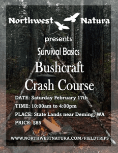 Bushcraft Crash Course: Survival Basics @ Forested Lands near Welcome, WA