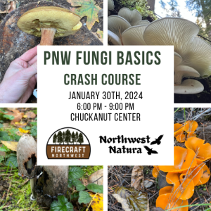 Fungi Basics Crash Course @ Chuckanut Center