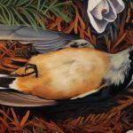 Rachel-Rothberg-aeterna