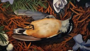 June’s Words of a Feather: the Sue C. Boynton Poetry Contest @ Allied Arts Gallery