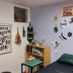Rachel-Rothberg-office