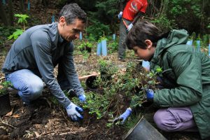 NSEA Squalicum Creek Work Party w/COB @ Cornwall Park