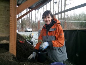 NSEA Native Plant Nursery Potting Work Party @ Nooksack Salmon Enhancement Association Campus