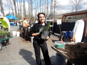 NSEA Native Plant Nursery Potting Work Party @ Nooksack Salmon Enhancement Association Campus