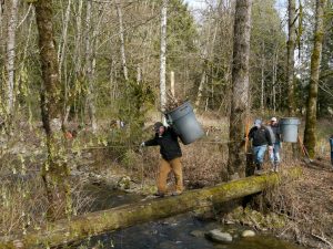 NSEA Bell Creek Work Party w/Whatcom Land Trust @ Mount Baker Senior High School