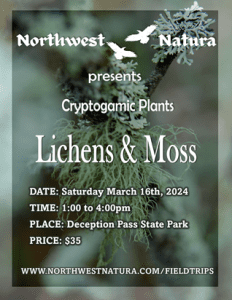 Lichens & Moss: A Cryptogamic Plant Walk @ Deception Pass State Park