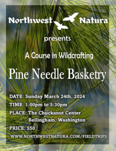 Pine Needle Basketry: A Beginner's Course in Weaving with Pine Needles @ Chuckanut Center