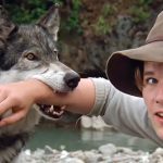 Jed the Wolfdog with Ethan Hawke in White Fang (1991)