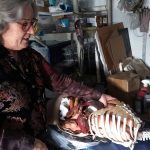 Kris-Carroll-Bellingham-Washington-artist-sculptor-costumer-ribcage