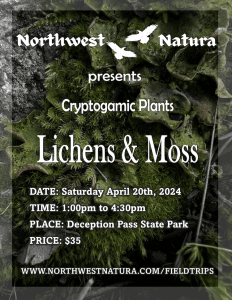 Lichens & Moss : Cryptogamic Plants with Northwest Natura @ Deception Pass State Park
