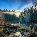 Maple-Creek-Reach-in-the-Morning-Credit-Rich-Bowers
