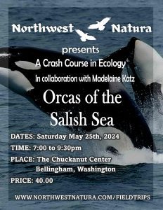 Orcas of the Salish Sea: A Crash Course in Ecology @ Chuckanut Center