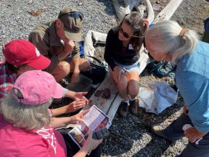 Learn how to Molt Search! @ Fairhaven library fireplace room