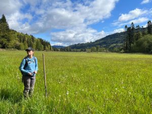 Whatcom Land Trust Work Party at Bell Creek